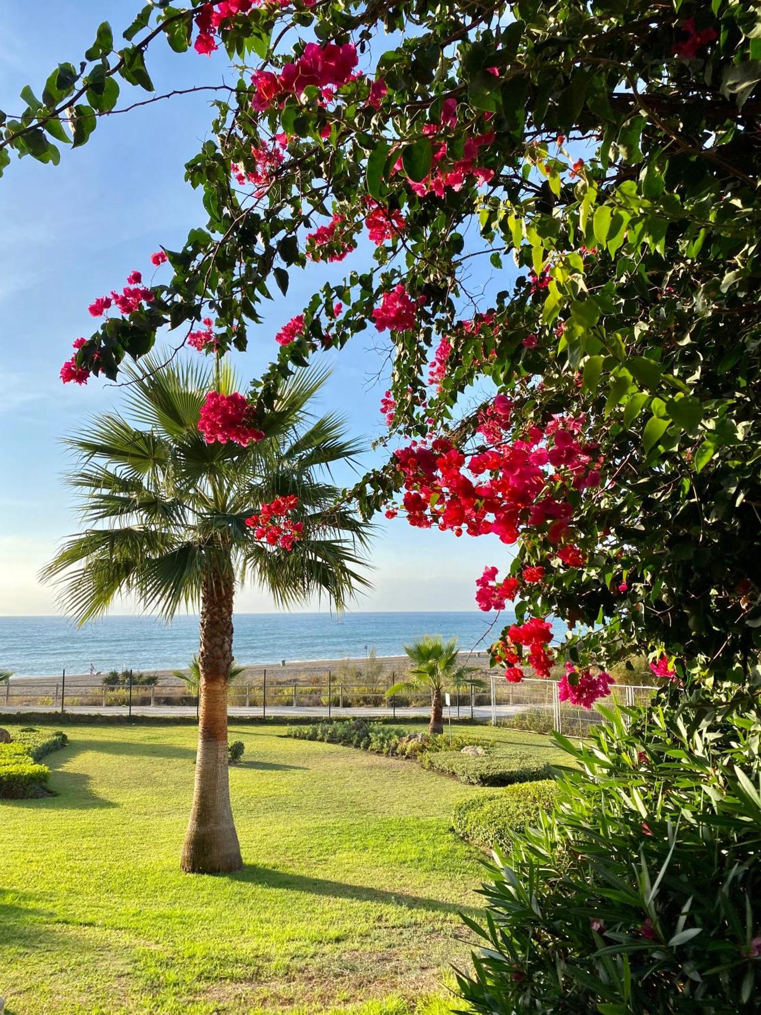 Sunshine Beach Front Complex, Wifi, Modern Casares Εξωτερικό φωτογραφία